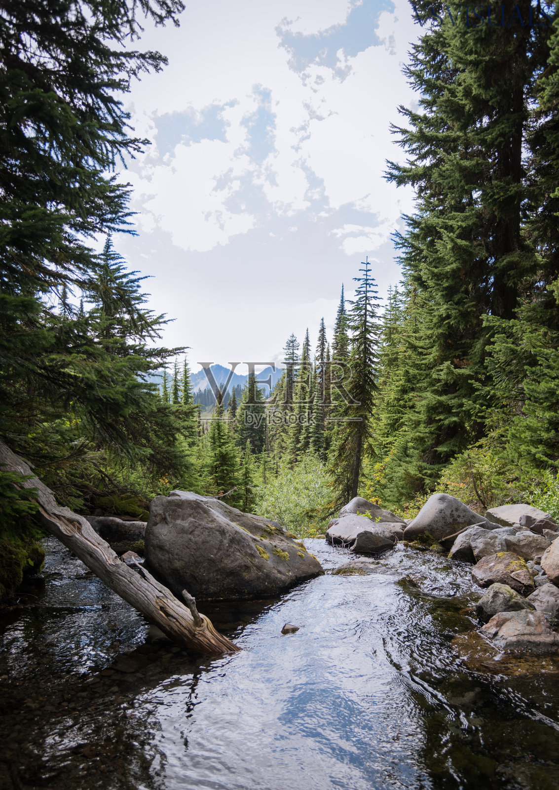 小溪的观点照片摄影图片