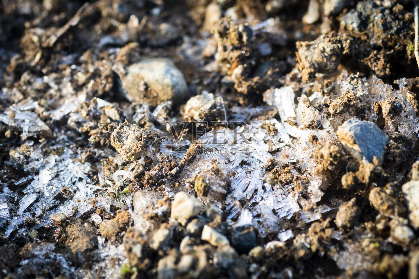 冰针照片摄影图片