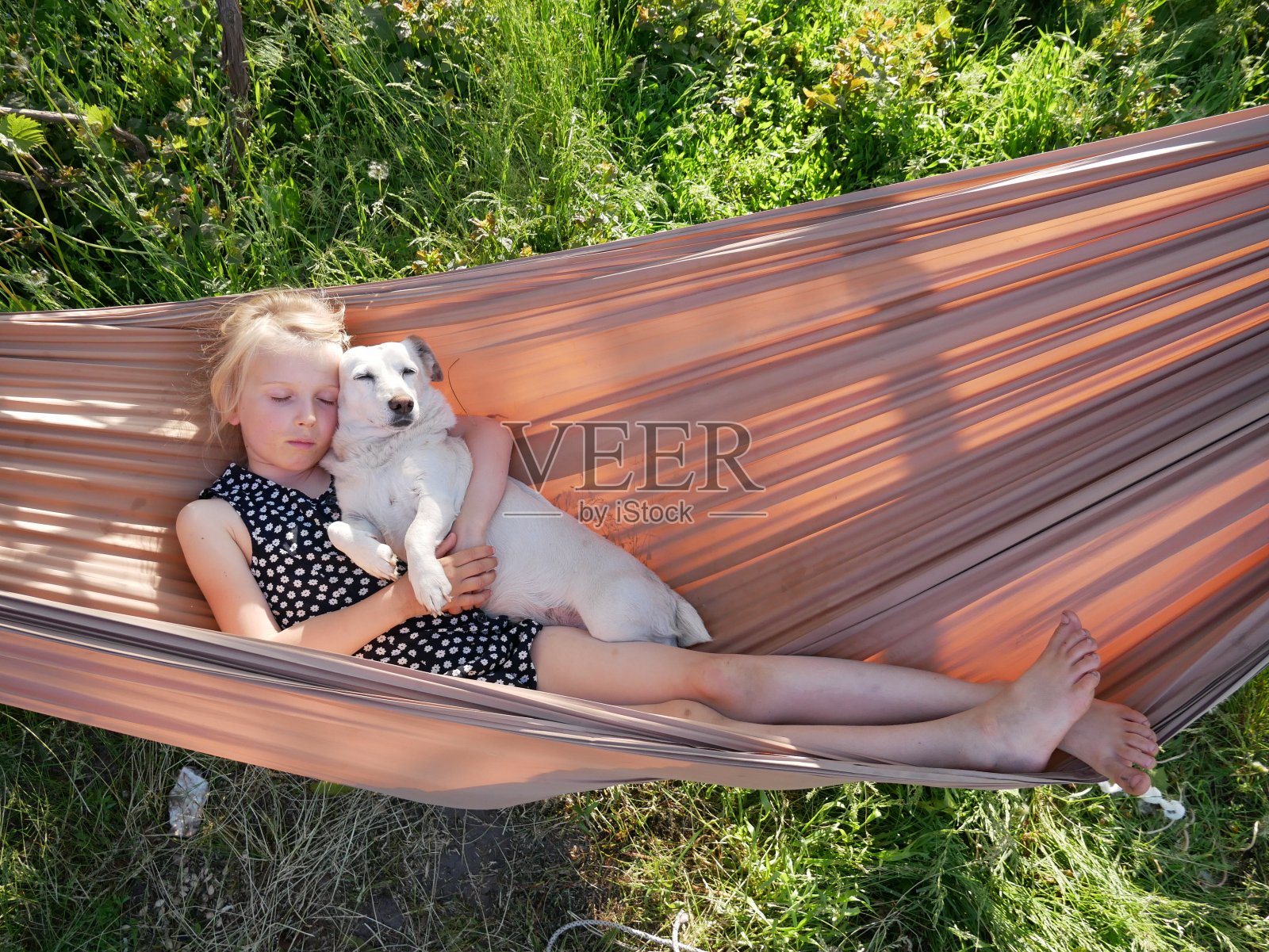 孩子睡在吊床上，抱着小狗照片摄影图片