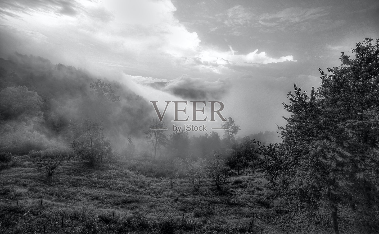 与雾谷照片摄影图片