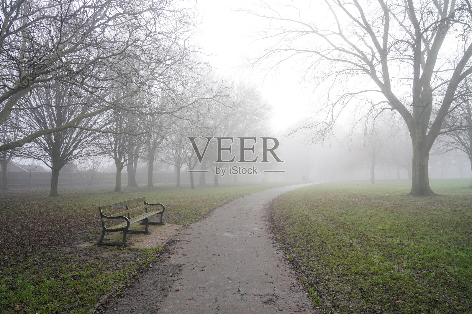 在一个多雾的冬日，公园里的小路照片摄影图片