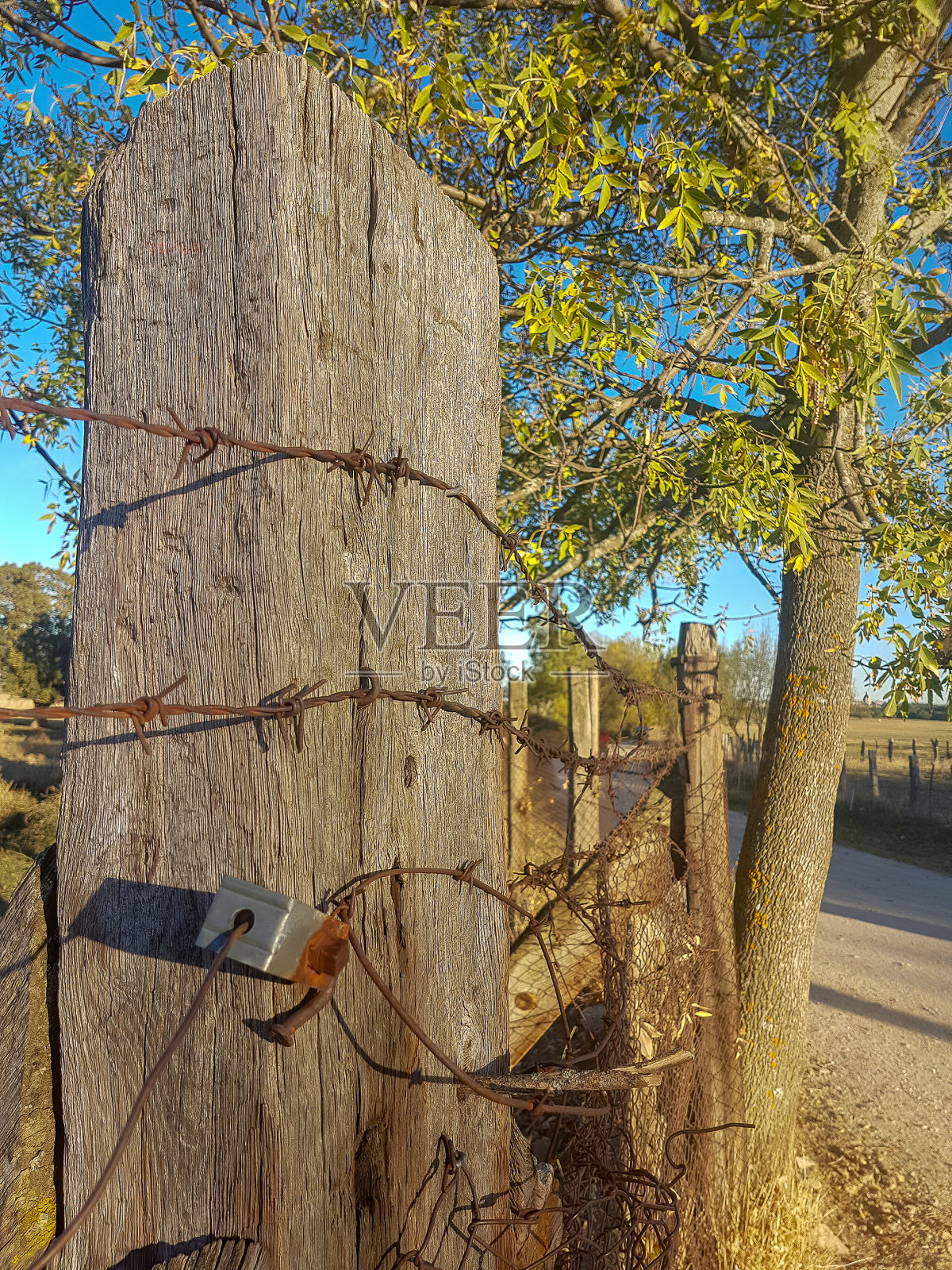 田野里的铁丝网和木杆的细节照片摄影图片