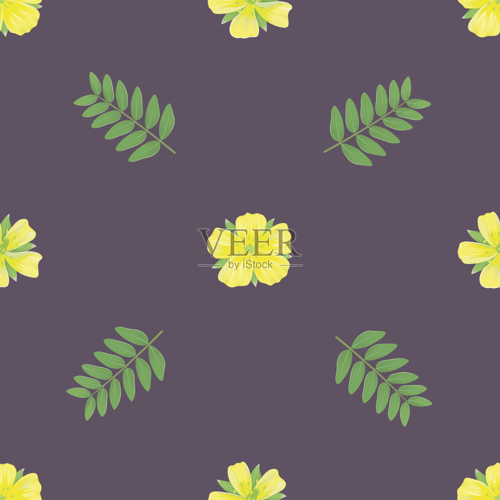 向量无缝模式与刺蒺藜植物-01插画图片素材