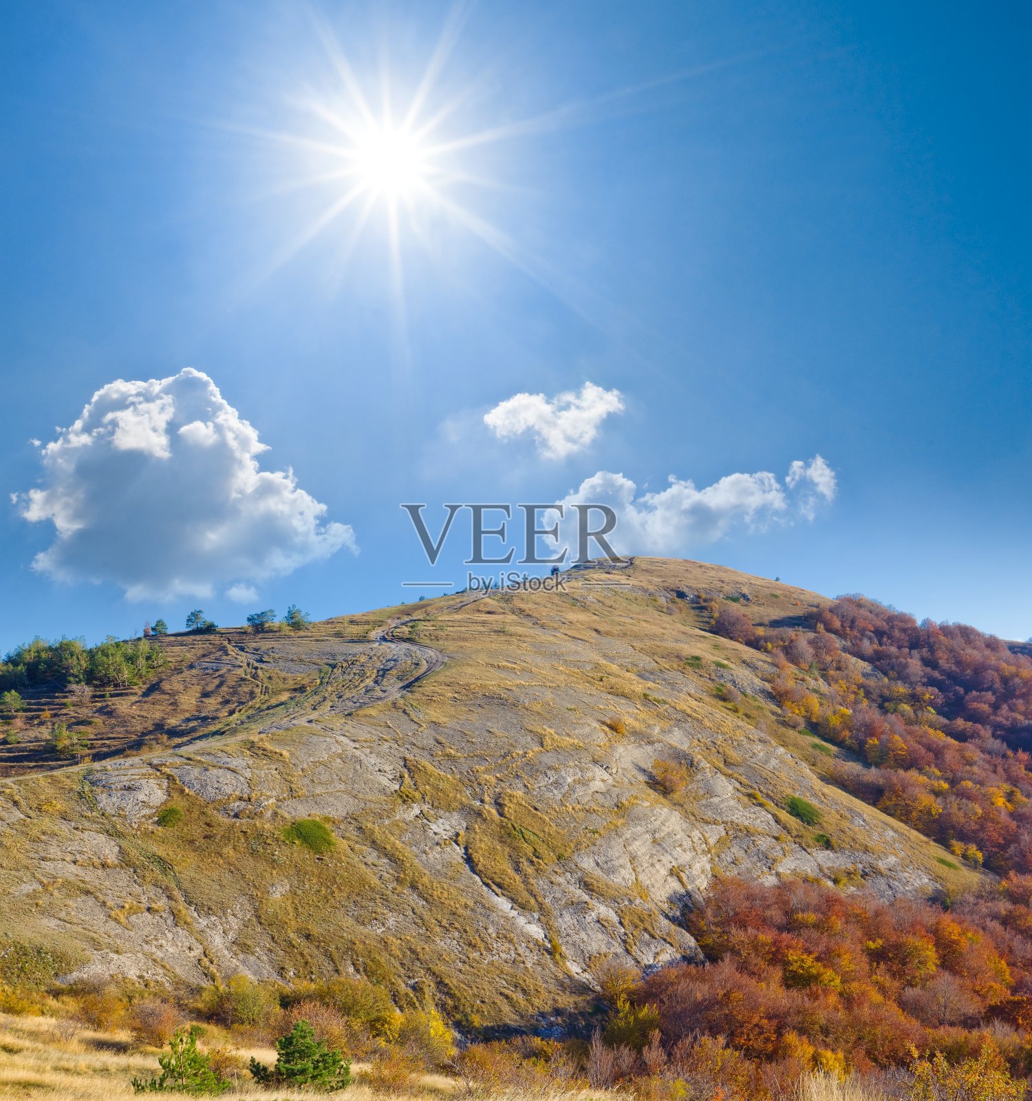 阳光明媚的一天在山中照片摄影图片