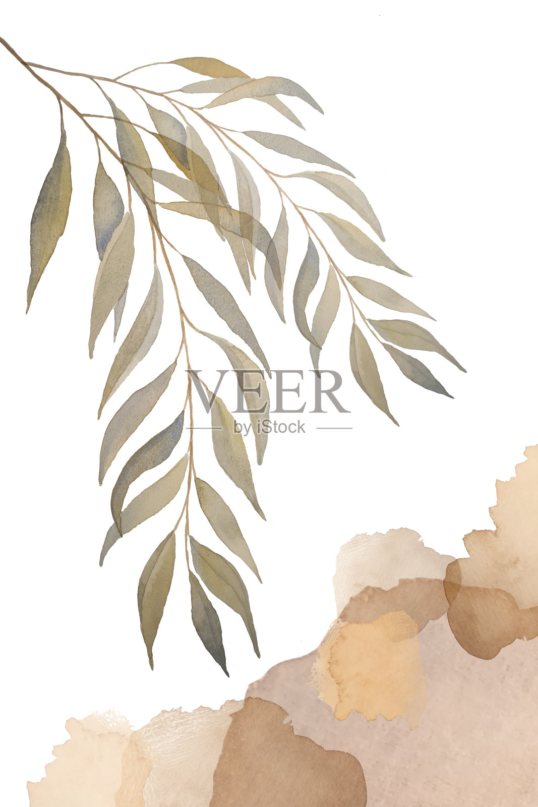 水彩手绘插图的树枝与绿色的桉树叶子和米色抽象点。墙艺术。室内绘画сoral颜色。喜欢明信片、名片、信笺、请柬插画图片素材