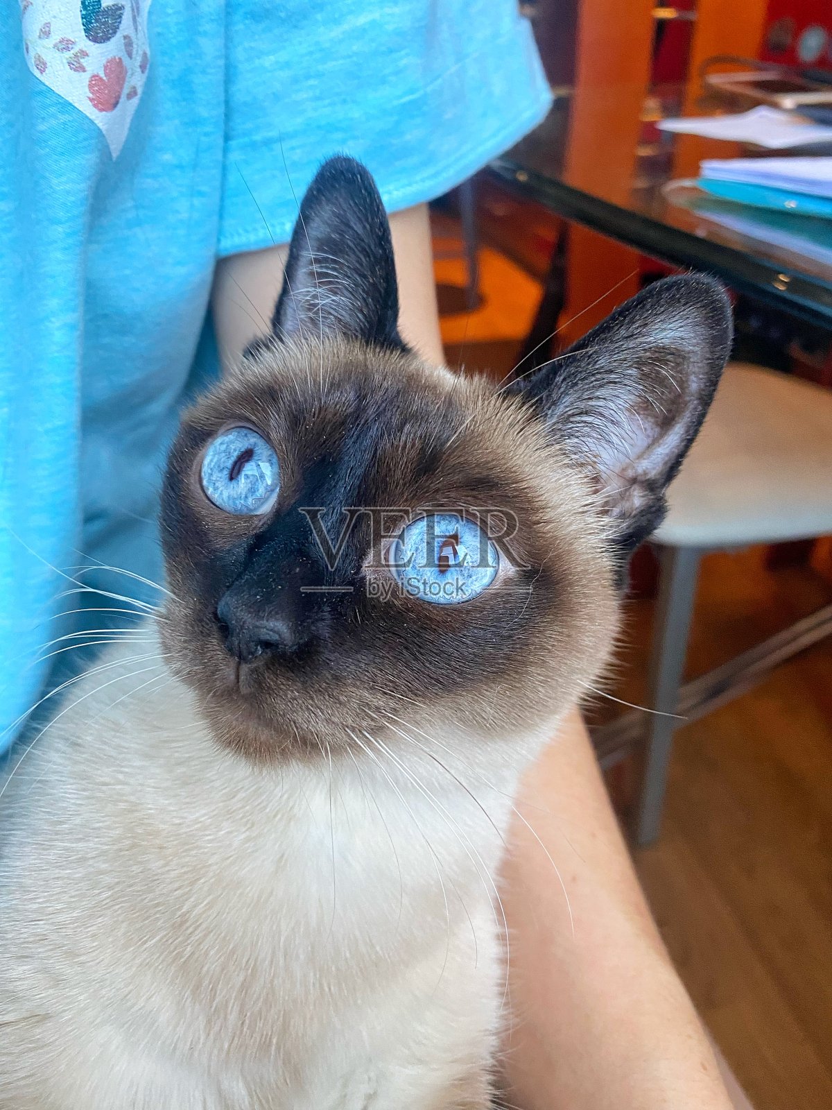 蓝色的眼睛照片摄影图片