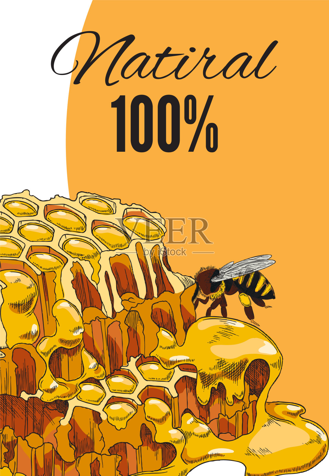 手绘蜂蜜产品广告宣传单，手绘矢量插图。插画图片素材