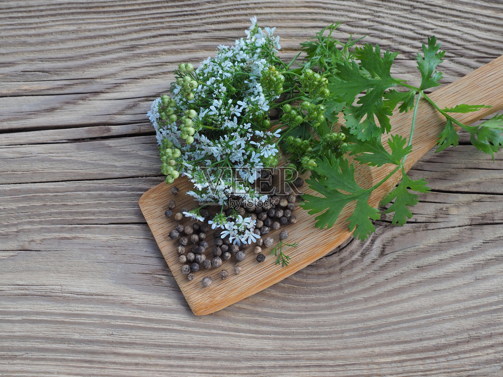 种子、香料草和香菜花放在木勺里，摆放在木桌上，摆放平整。药用植物芫荽，用于烹饪、医药和美容照片摄影图片