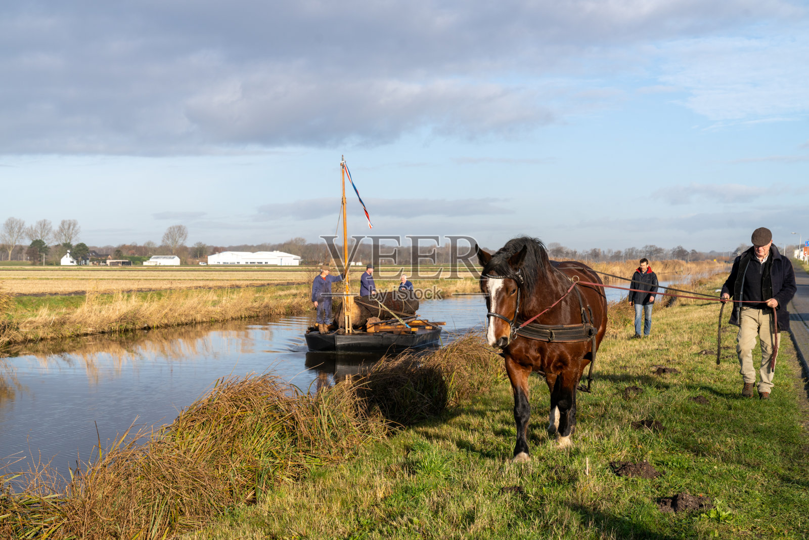 一艘载有原木的重型驳船由人马拉动沿河前行照片摄影图片