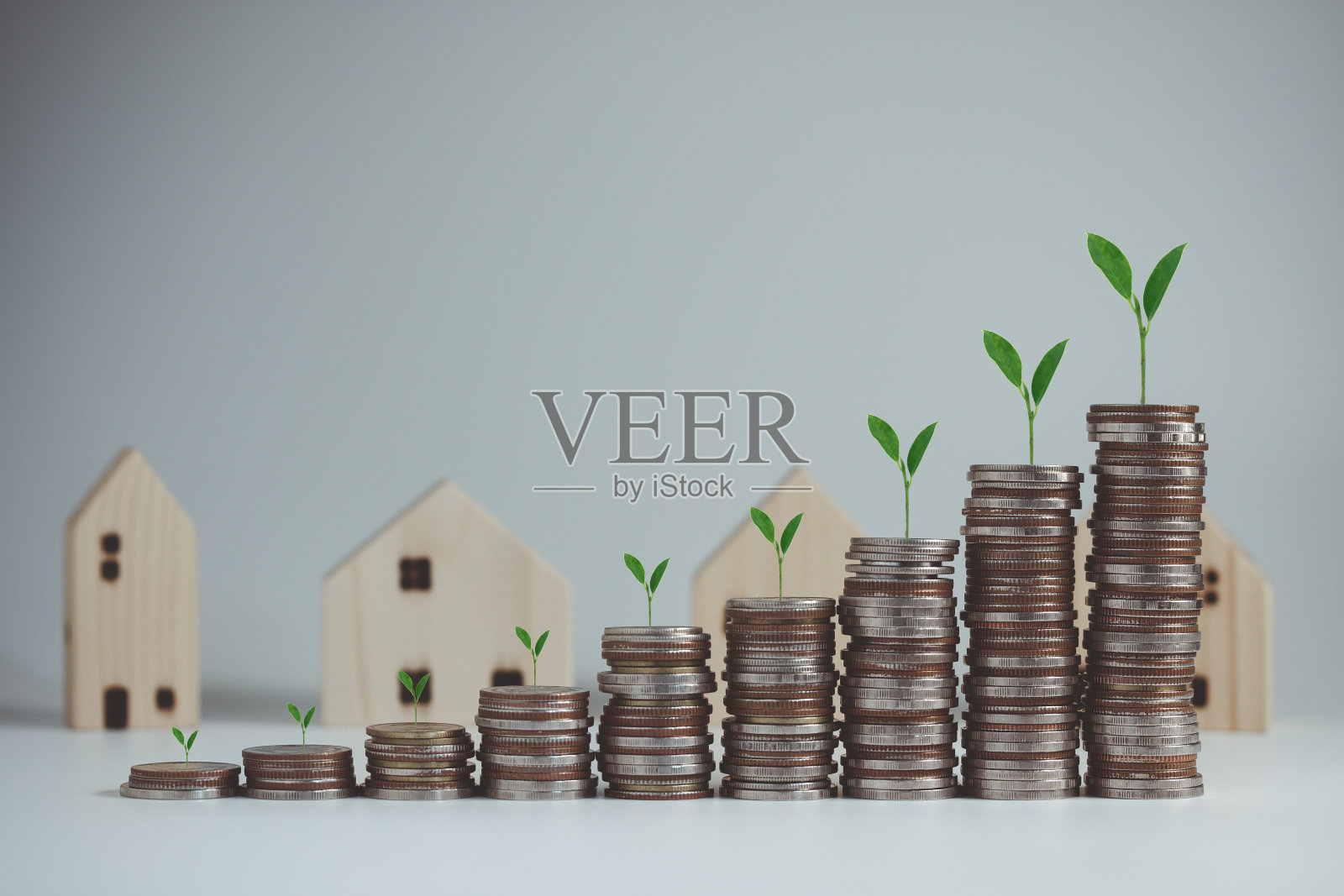 为不断增长的金融和商业积累钱币。储蓄和帐户，金融银行业务概念，投资，基金，利息，在硬币和房子上面生长的植物。照片摄影图片