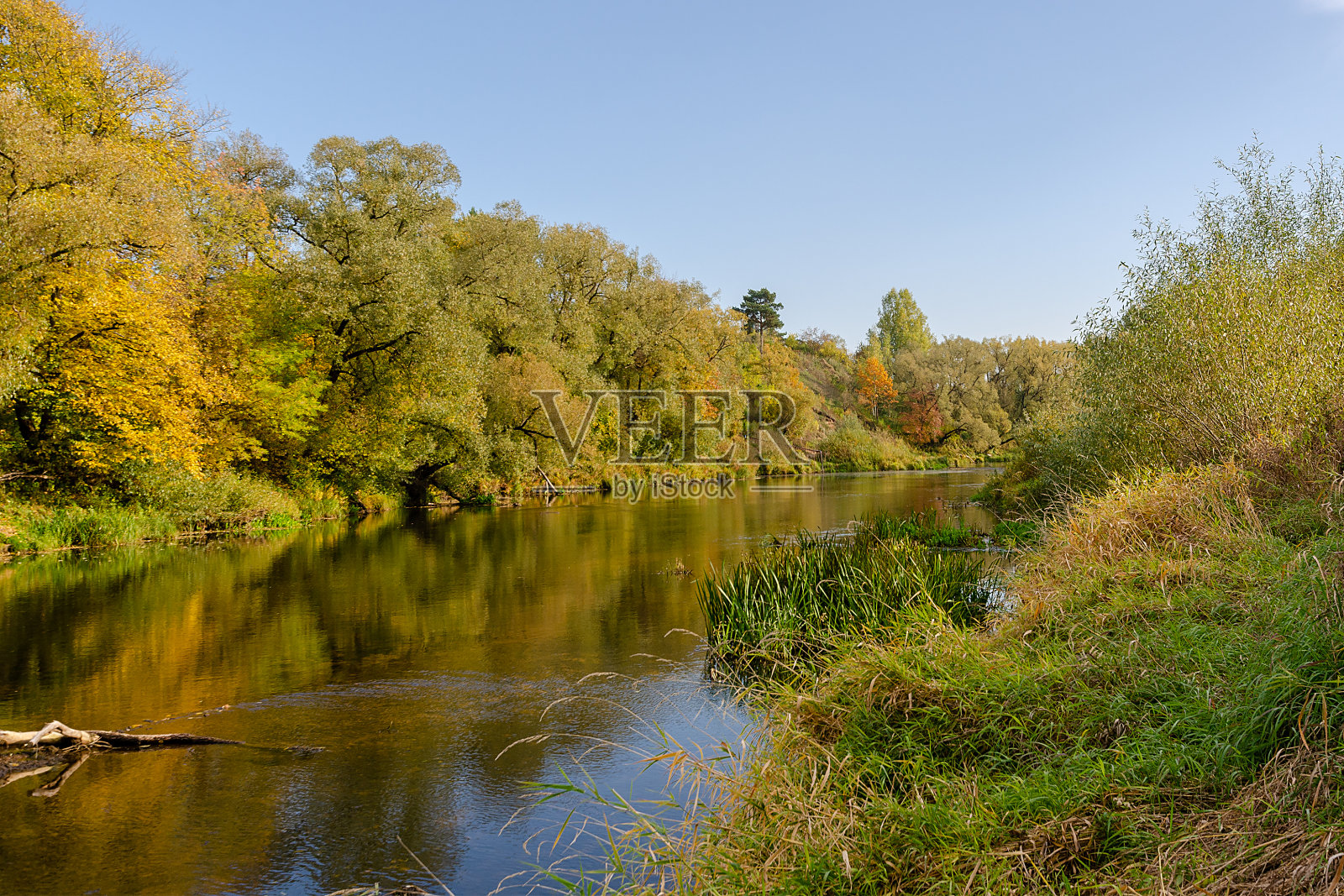 这条河在秋天的森林中流动。美丽秋天大自然照片摄影图片