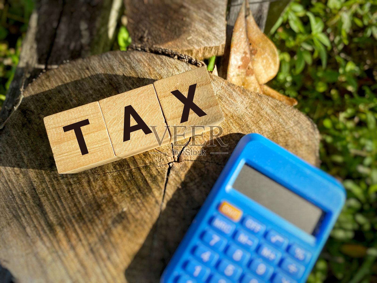 Tax-filling概念照片摄影图片