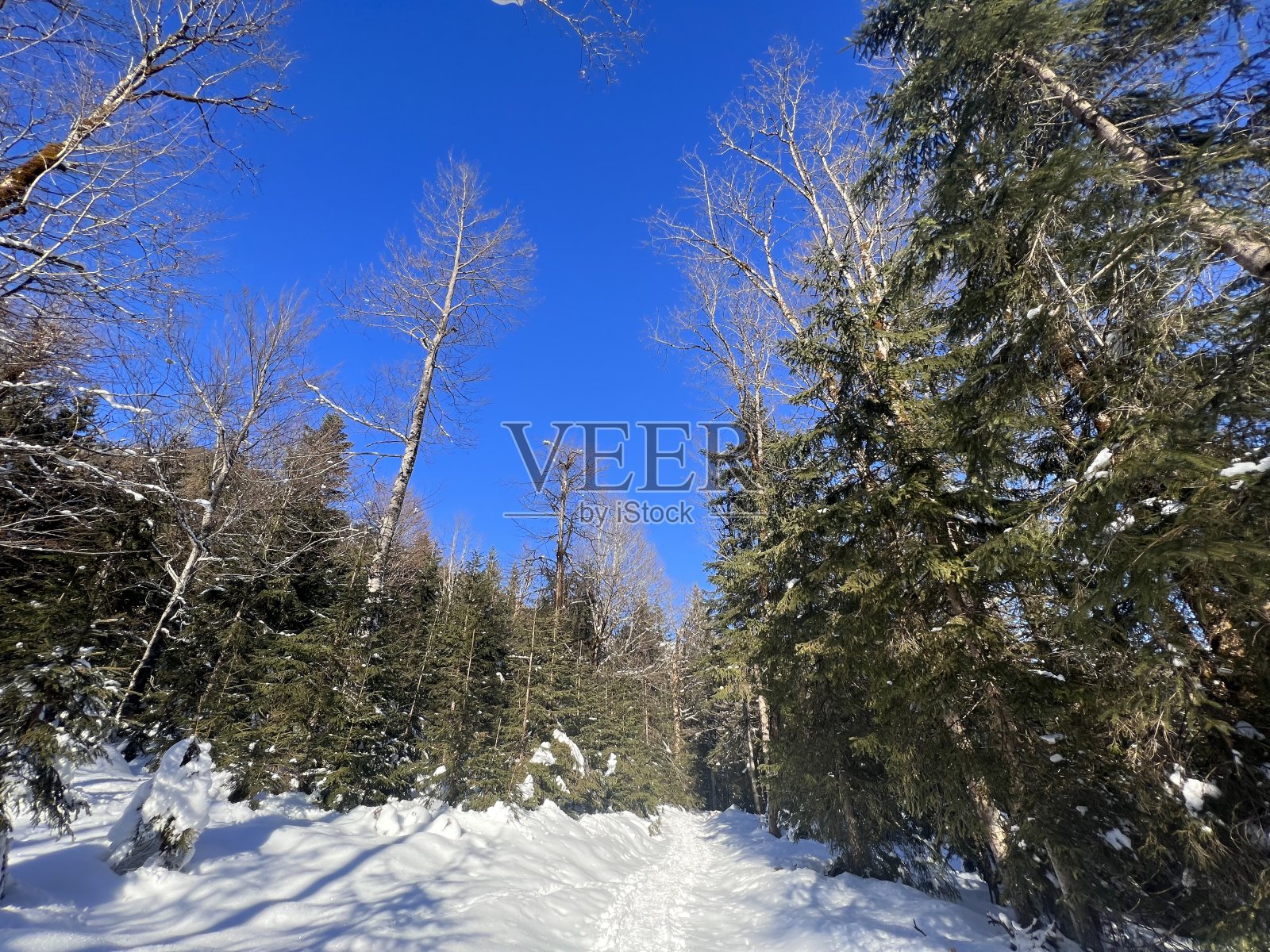 Falzthurn Achensee Pertisau Karwendel Tirol在奥地利施瓦兹地区照片摄影图片