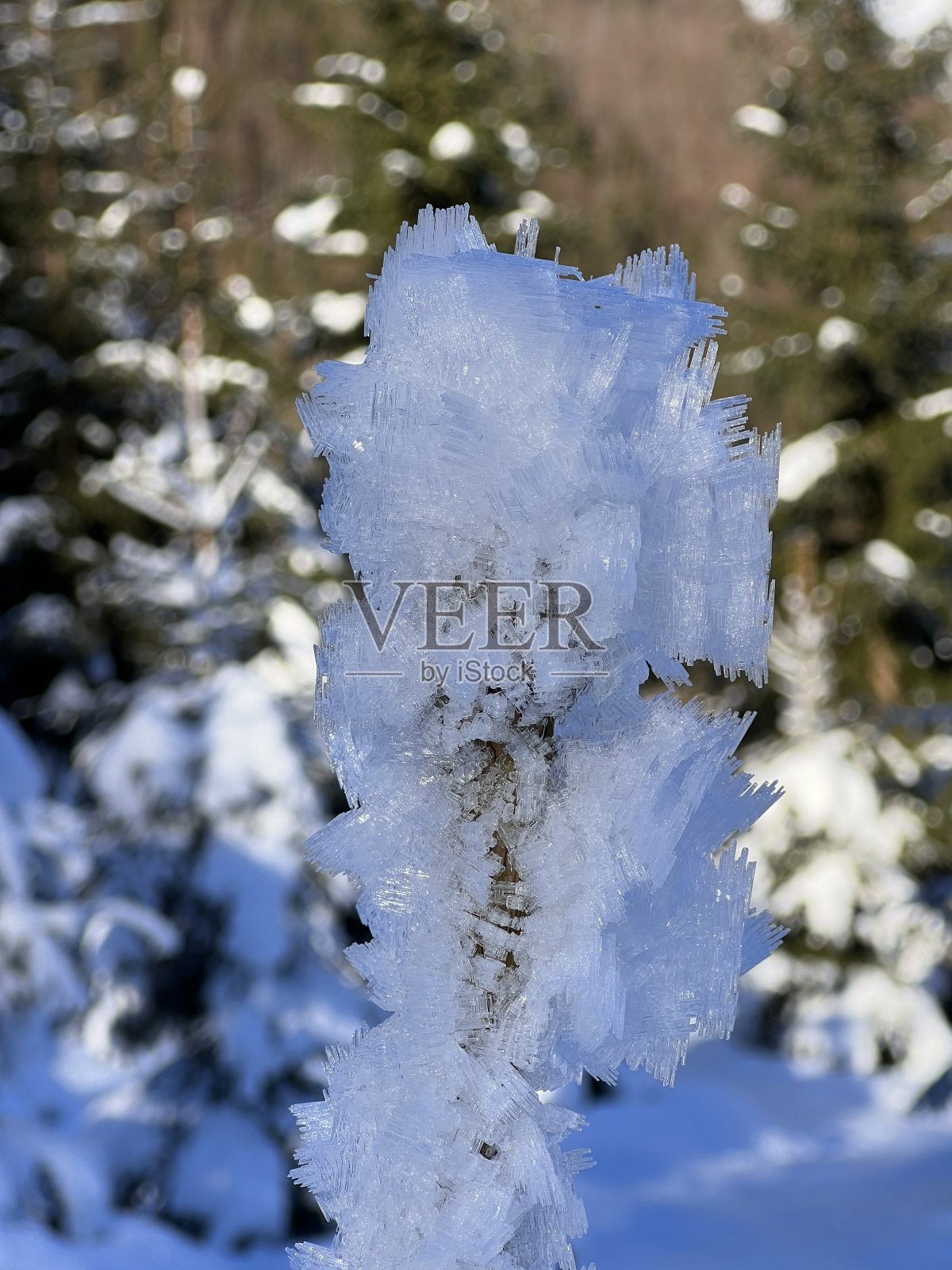 Falzthurn Achensee Pertisau Karwendel Tirol在奥地利施瓦兹地区照片摄影图片