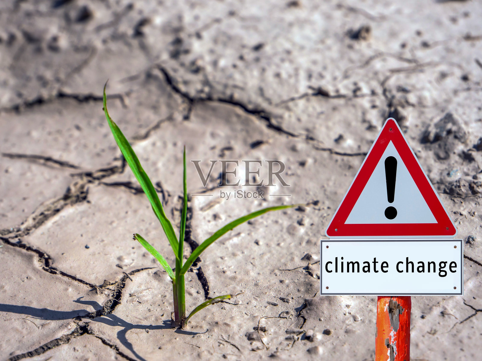 警告:气候变化与植物有关照片摄影图片