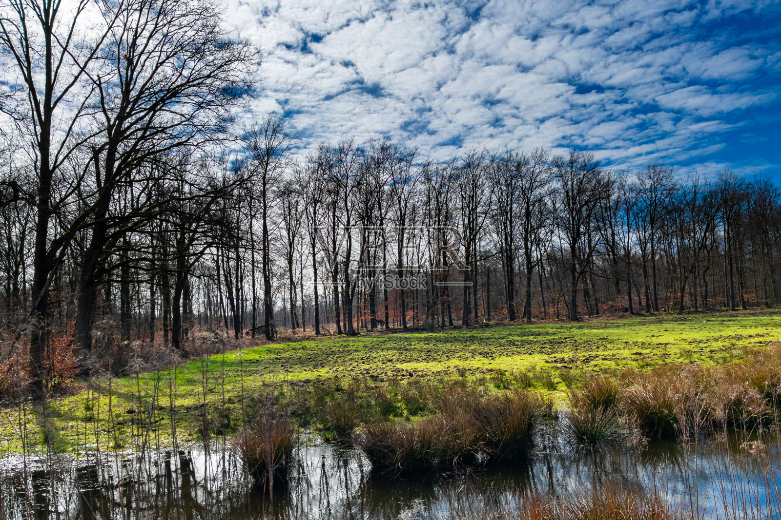 湖在秋天照片摄影图片