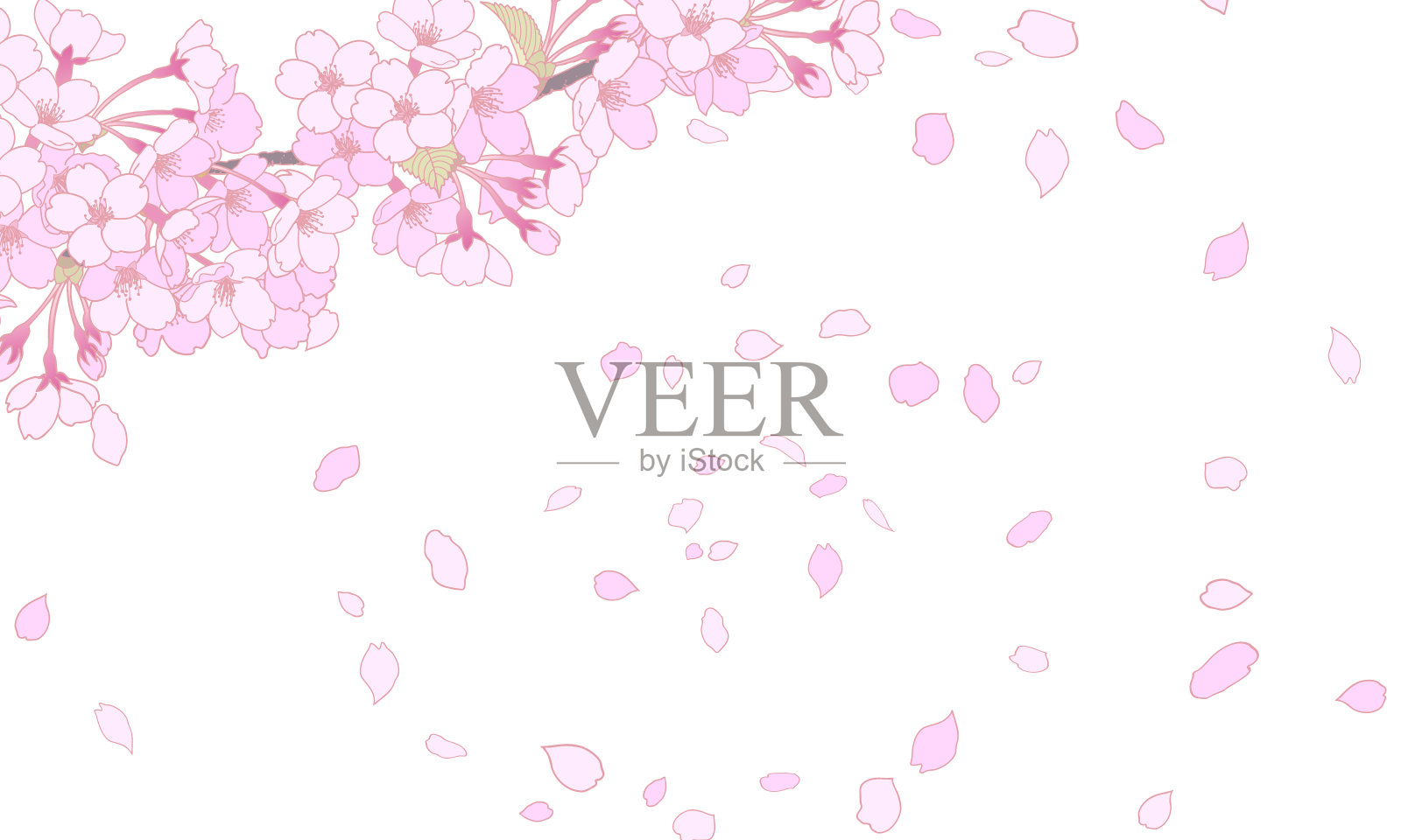 白色背景上的樱花剪辑艺术插画图片素材