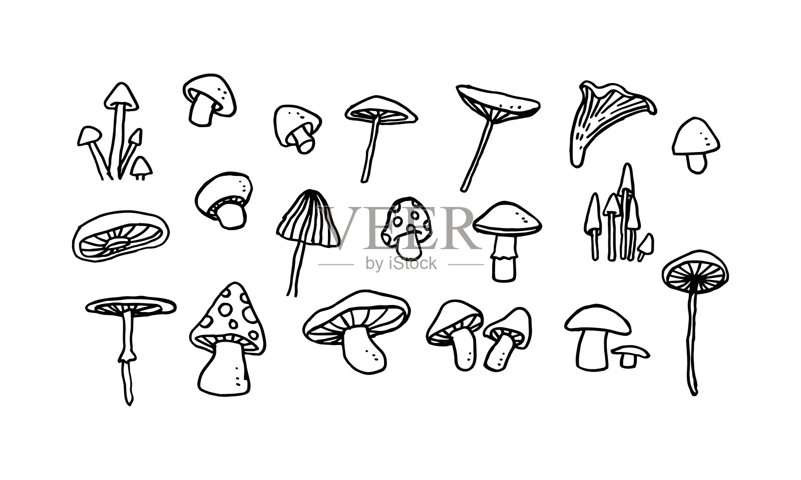 一套手绘真菌插图插画图片素材
