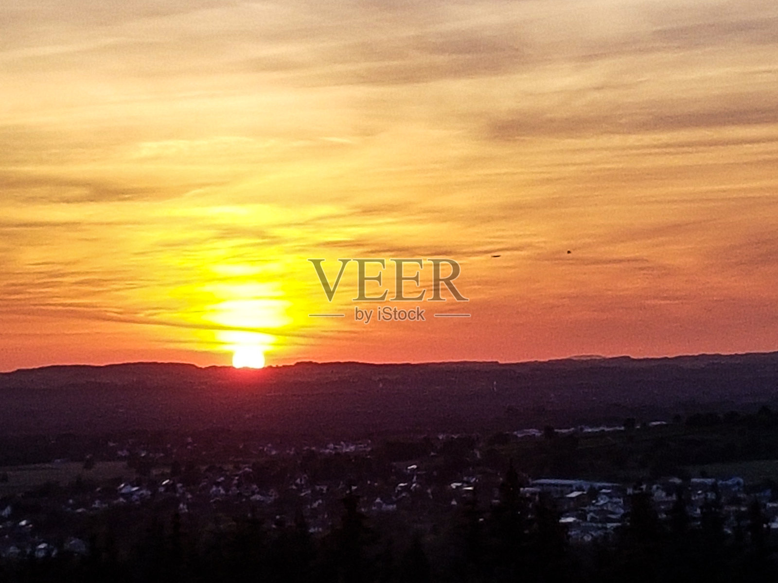 麦田，玉米地，黑森林里的葡萄园照片摄影图片