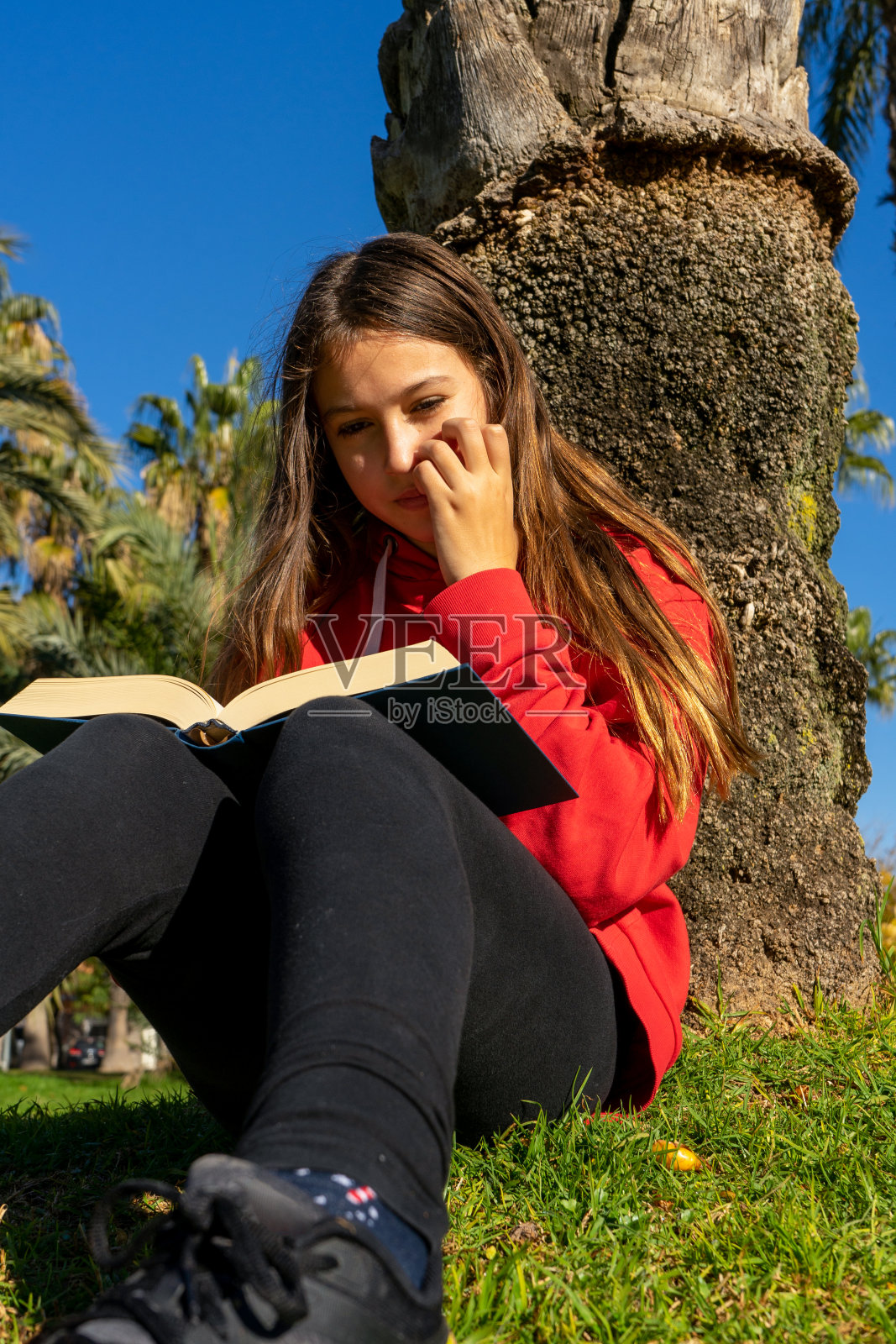 漂亮的西班牙小女孩在绿色的草地上看书，靠在公园的一棵树上。在阳光明媚的冬日享受她的爱好吧。照片摄影图片