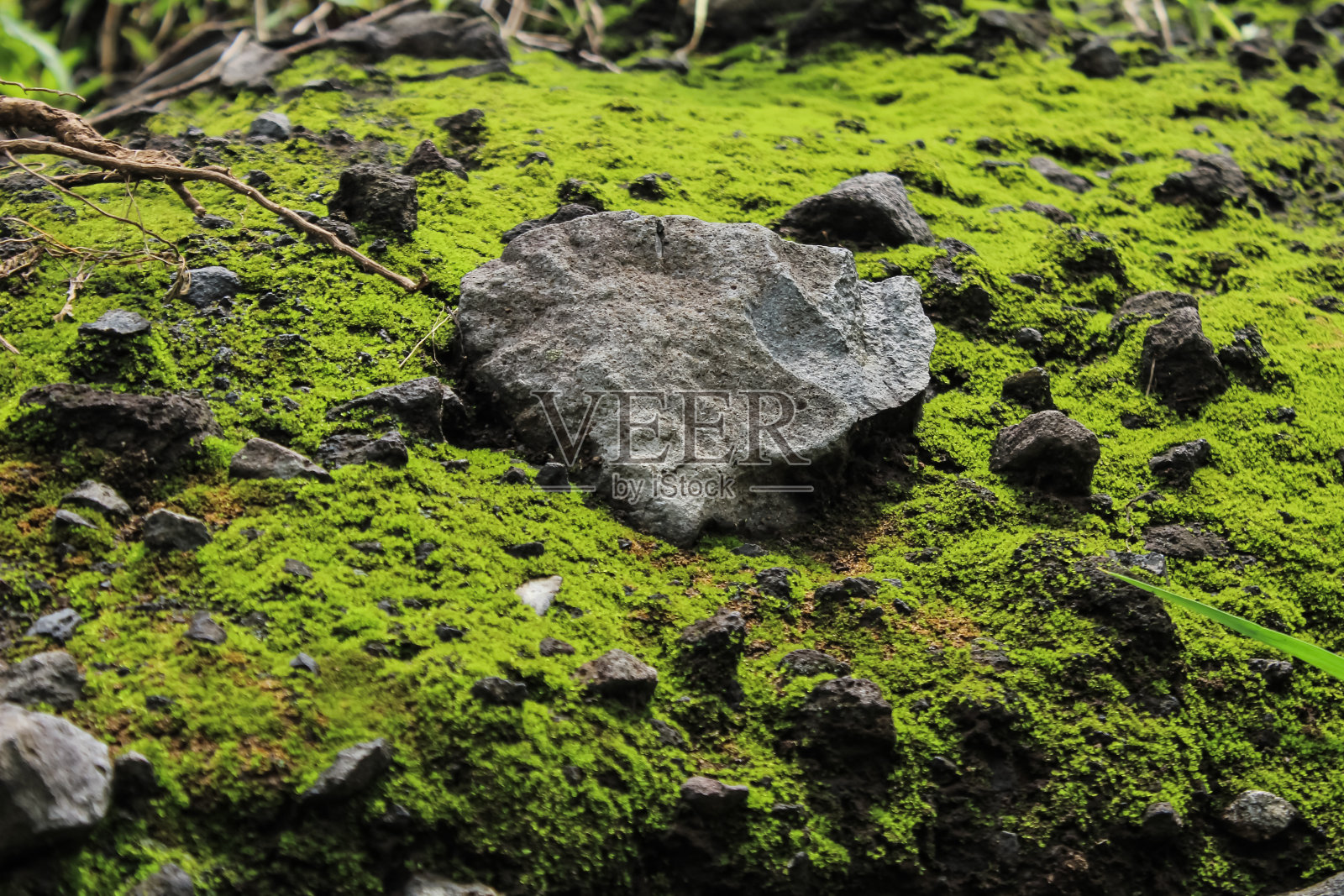 悬崖上有岩石，周围有苔藓照片摄影图片