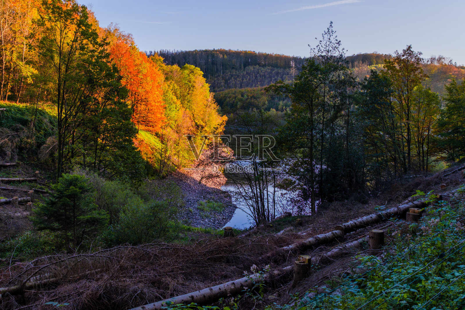 秋天在公园照片摄影图片