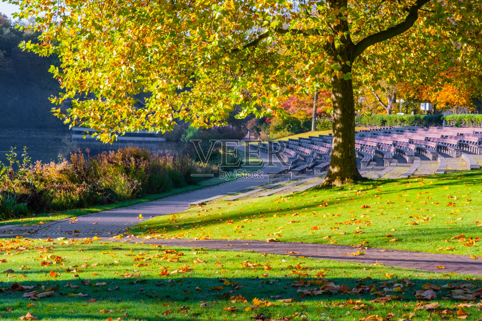 秋天在公园照片摄影图片