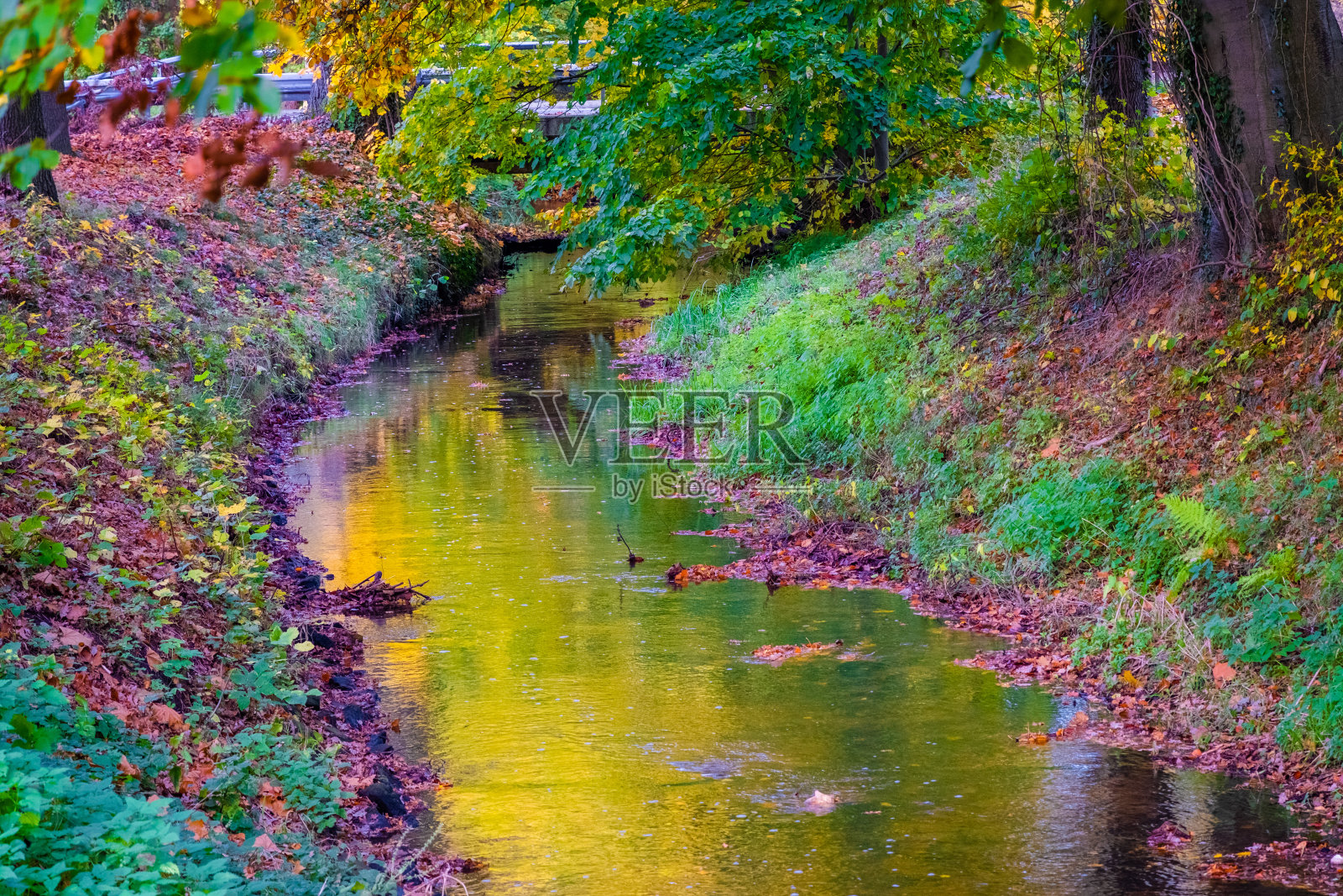 秋天在公园照片摄影图片