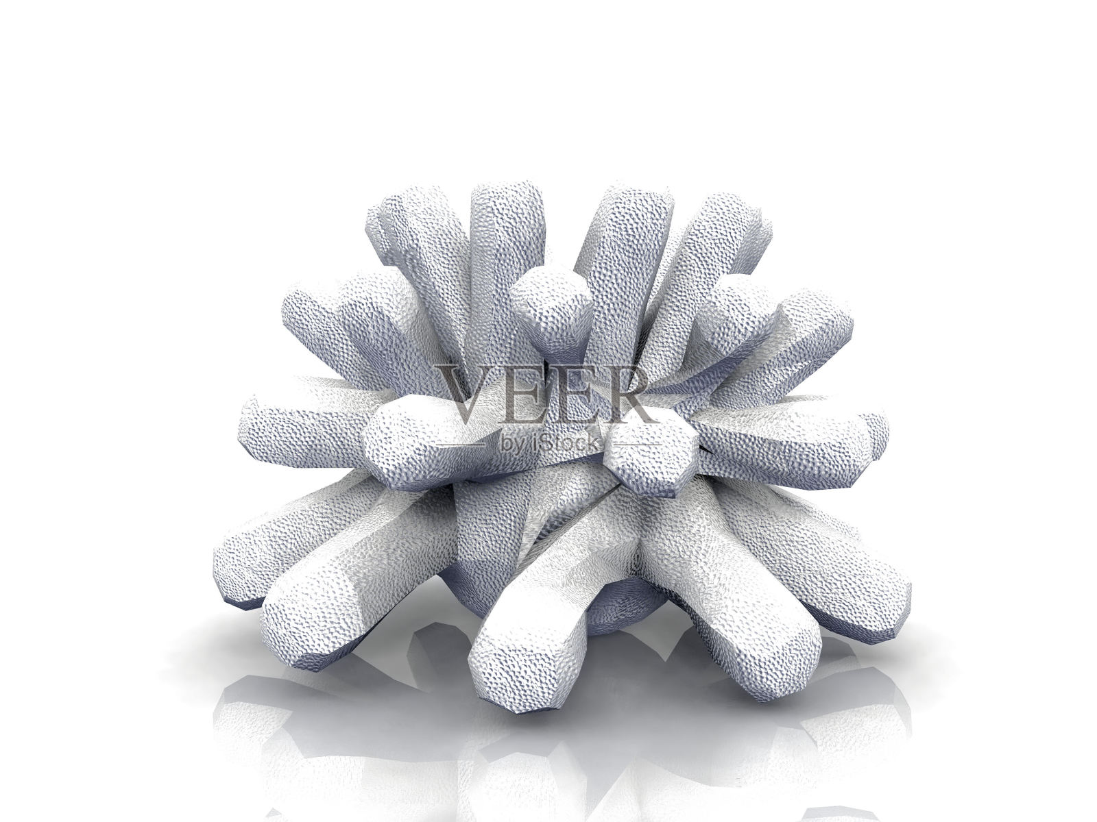 白底珊瑚照片摄影图片