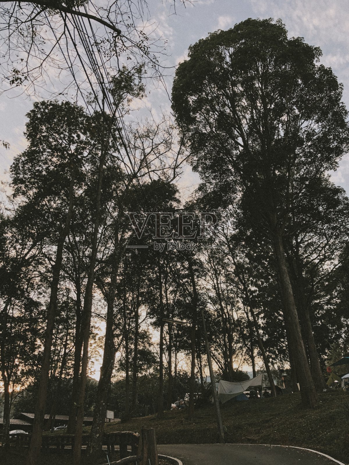 日落前的露营气氛照片摄影图片