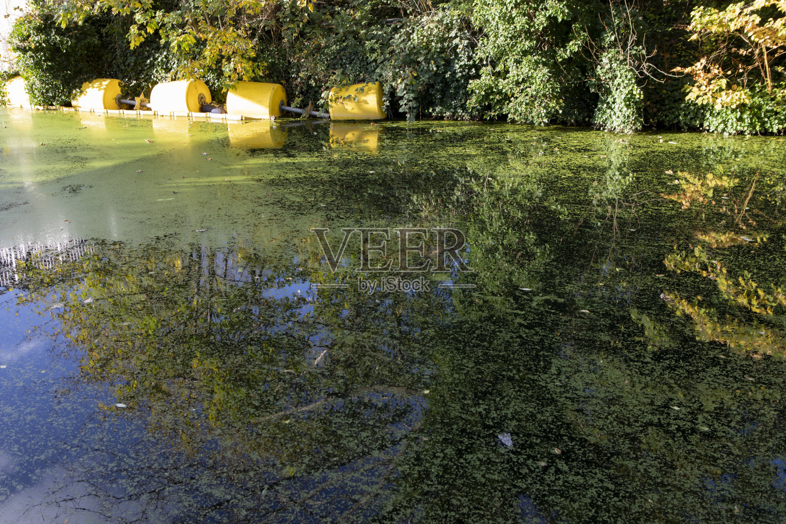 城市运河里的倒影照片摄影图片