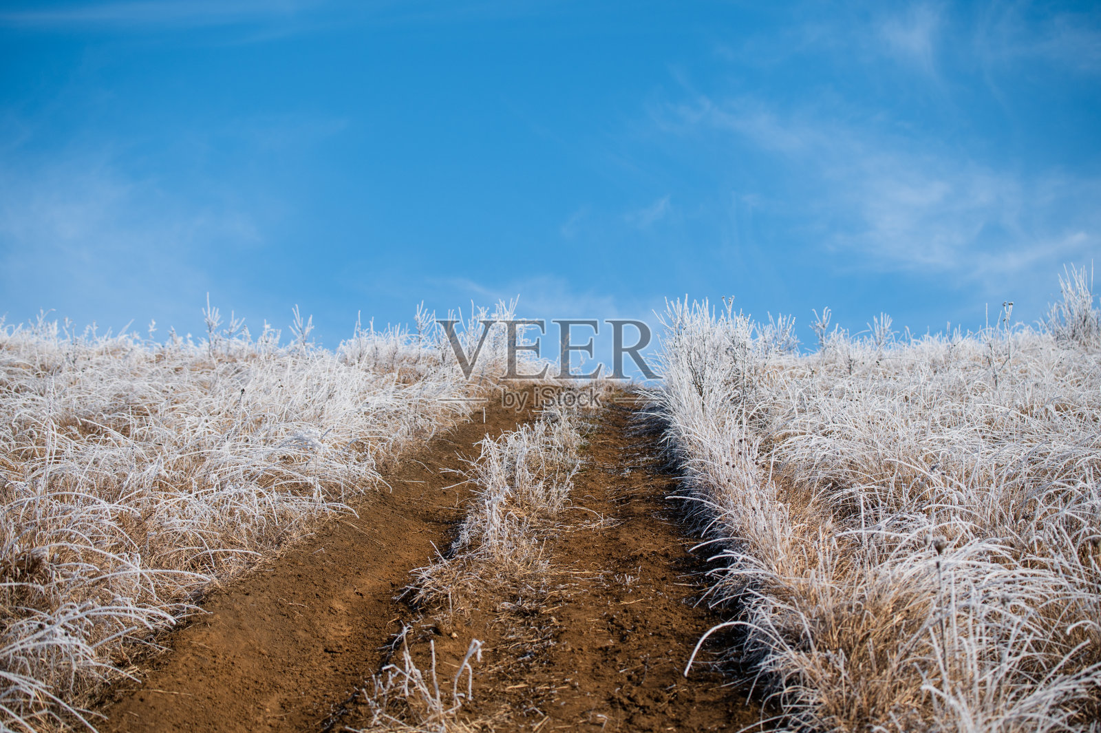 抽象的冻草和土路照片摄影图片