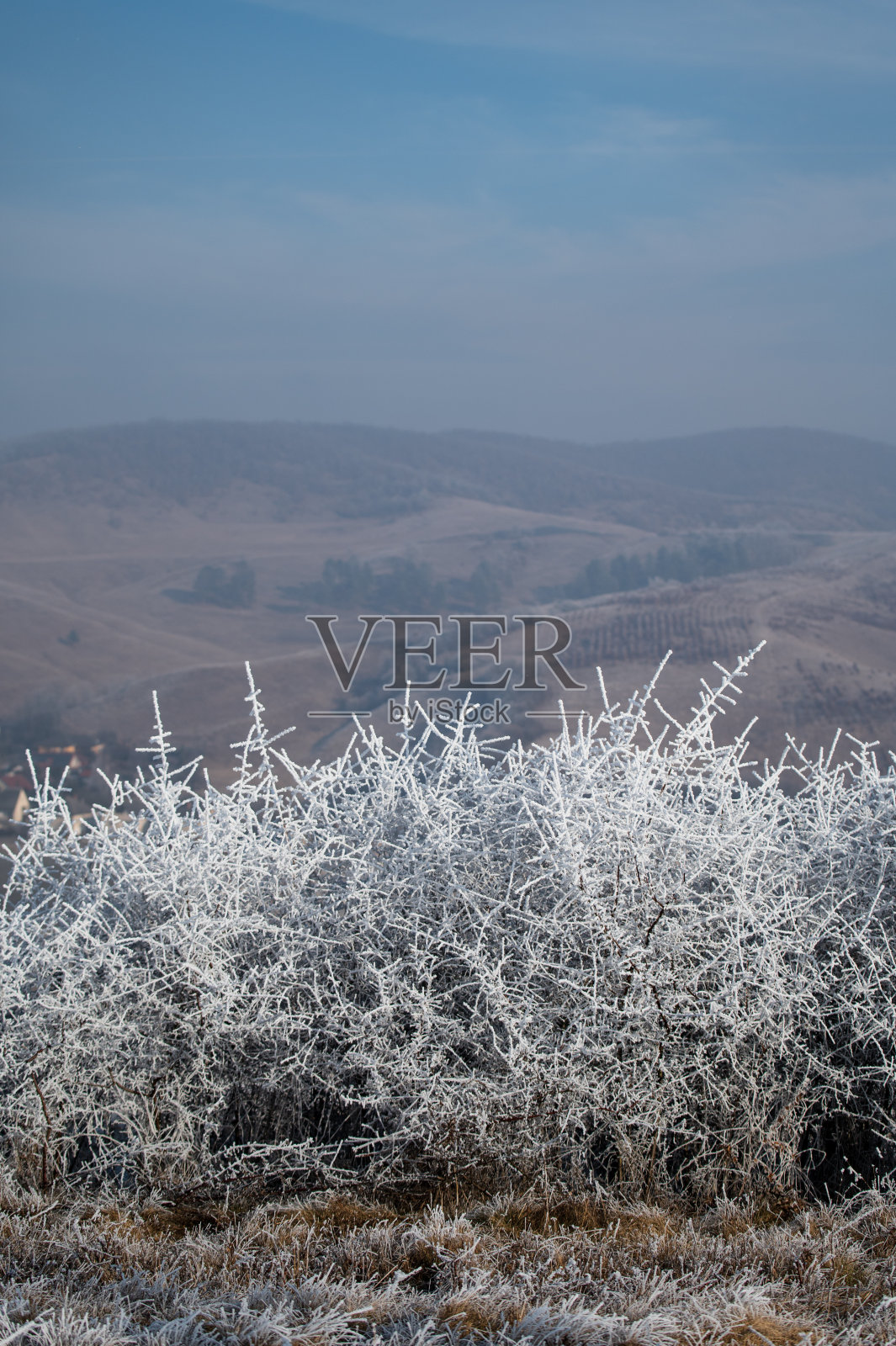 抽象的冻草和小山照片摄影图片