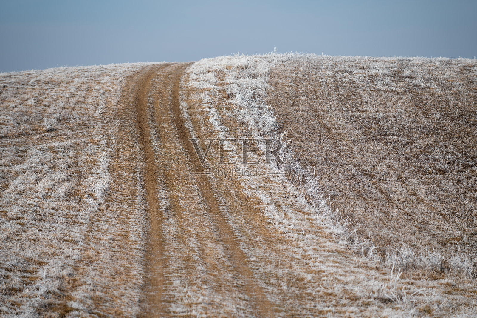 抽象的冻草和土路照片摄影图片
