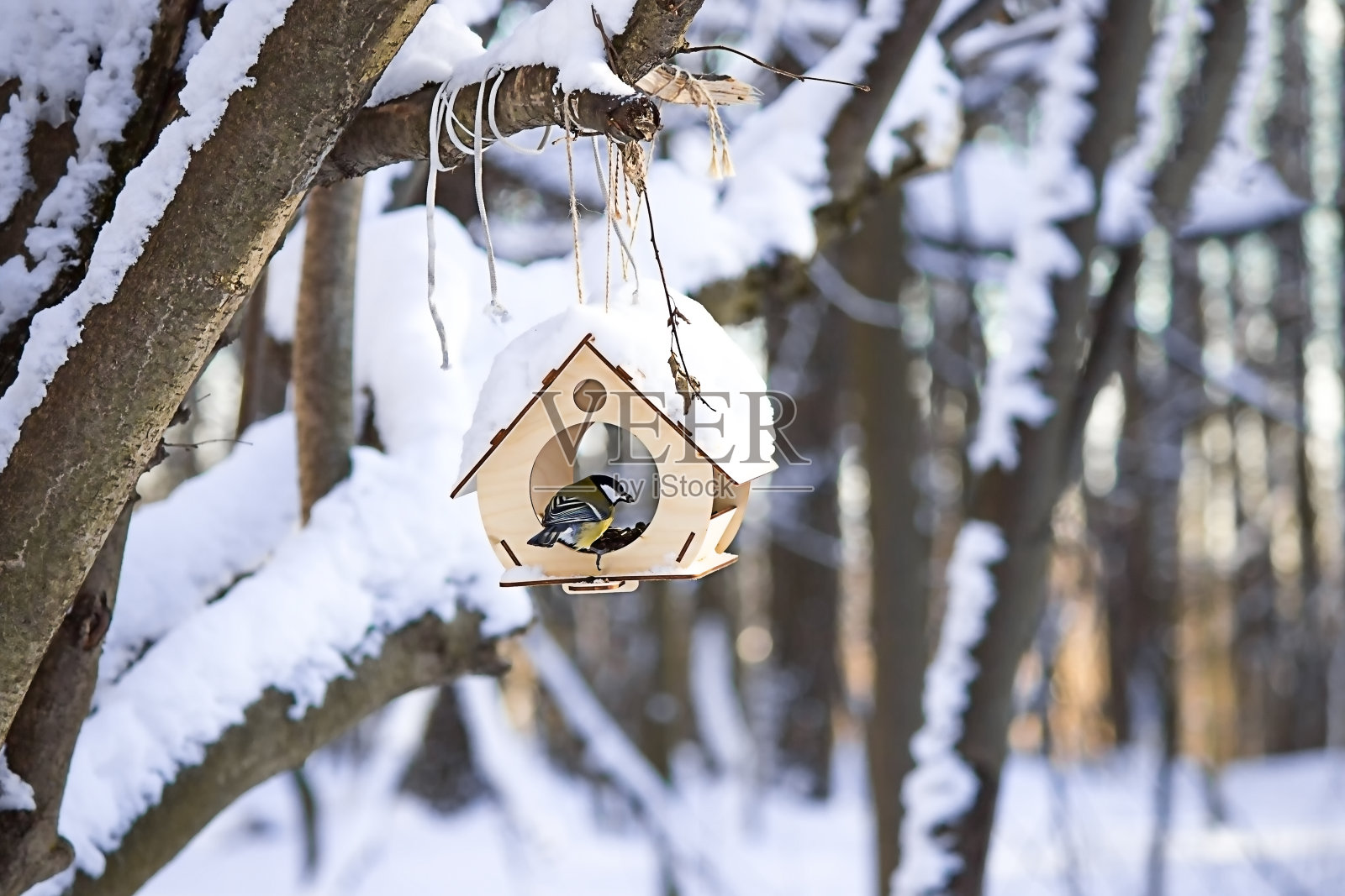 木制鸟屋在树上。照片摄影图片