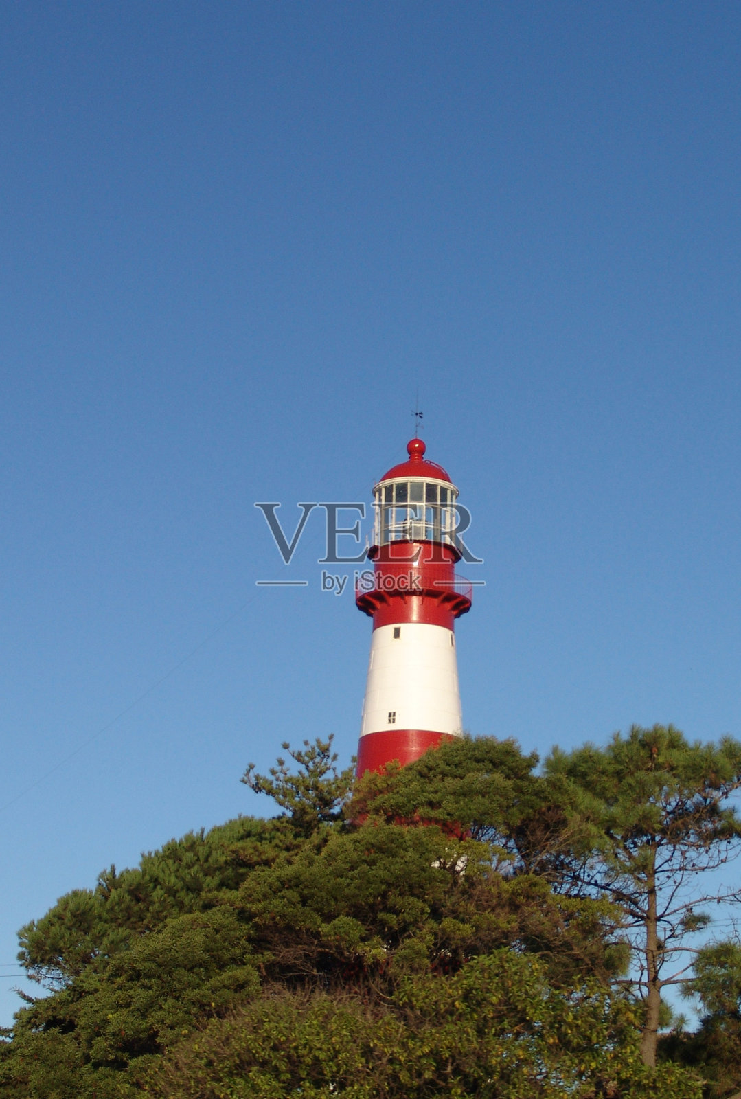 马德普拉塔照片摄影图片