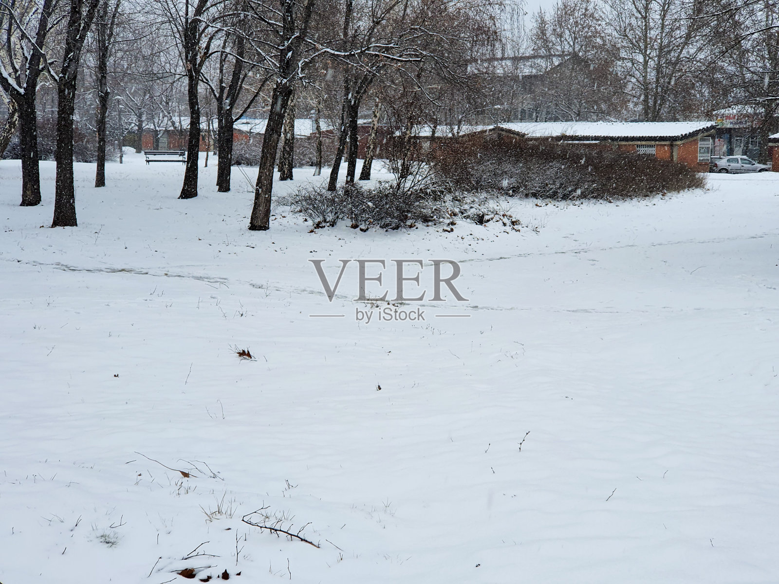 寒冷的冬天，城里飘着雪花照片摄影图片