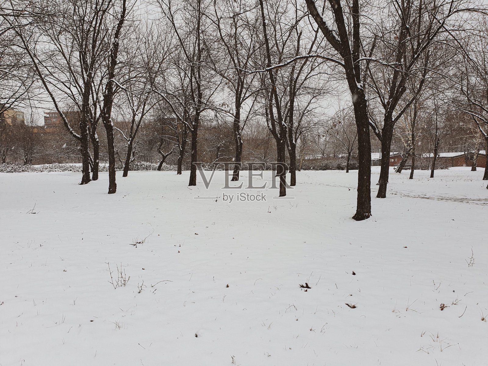 寒冷的冬天，城里飘着雪花照片摄影图片