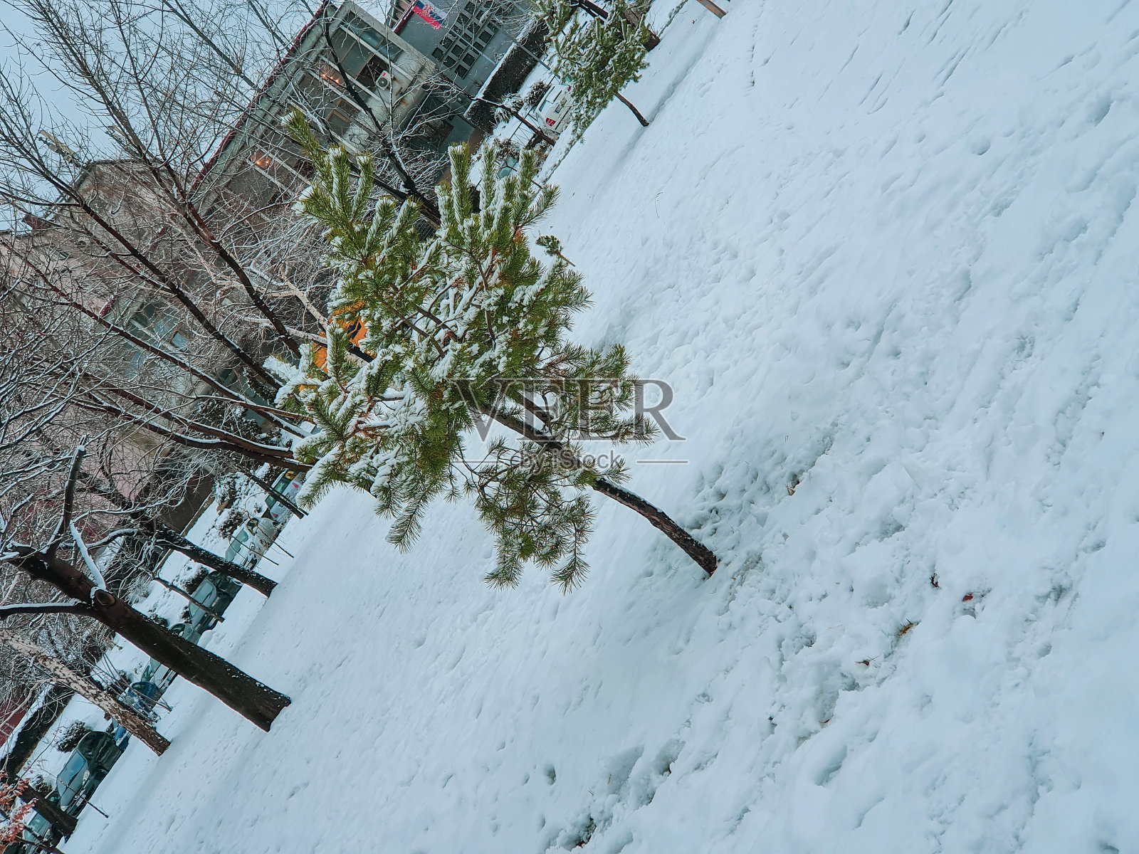 寒冷的冬天，城里飘着雪花。看到一切都是白色的真是太好了。照片摄影图片
