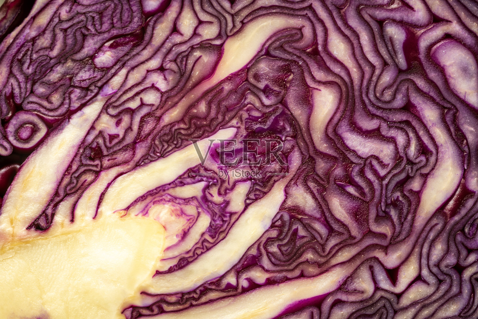 剪开紫色卷心菜特写背景照片摄影图片