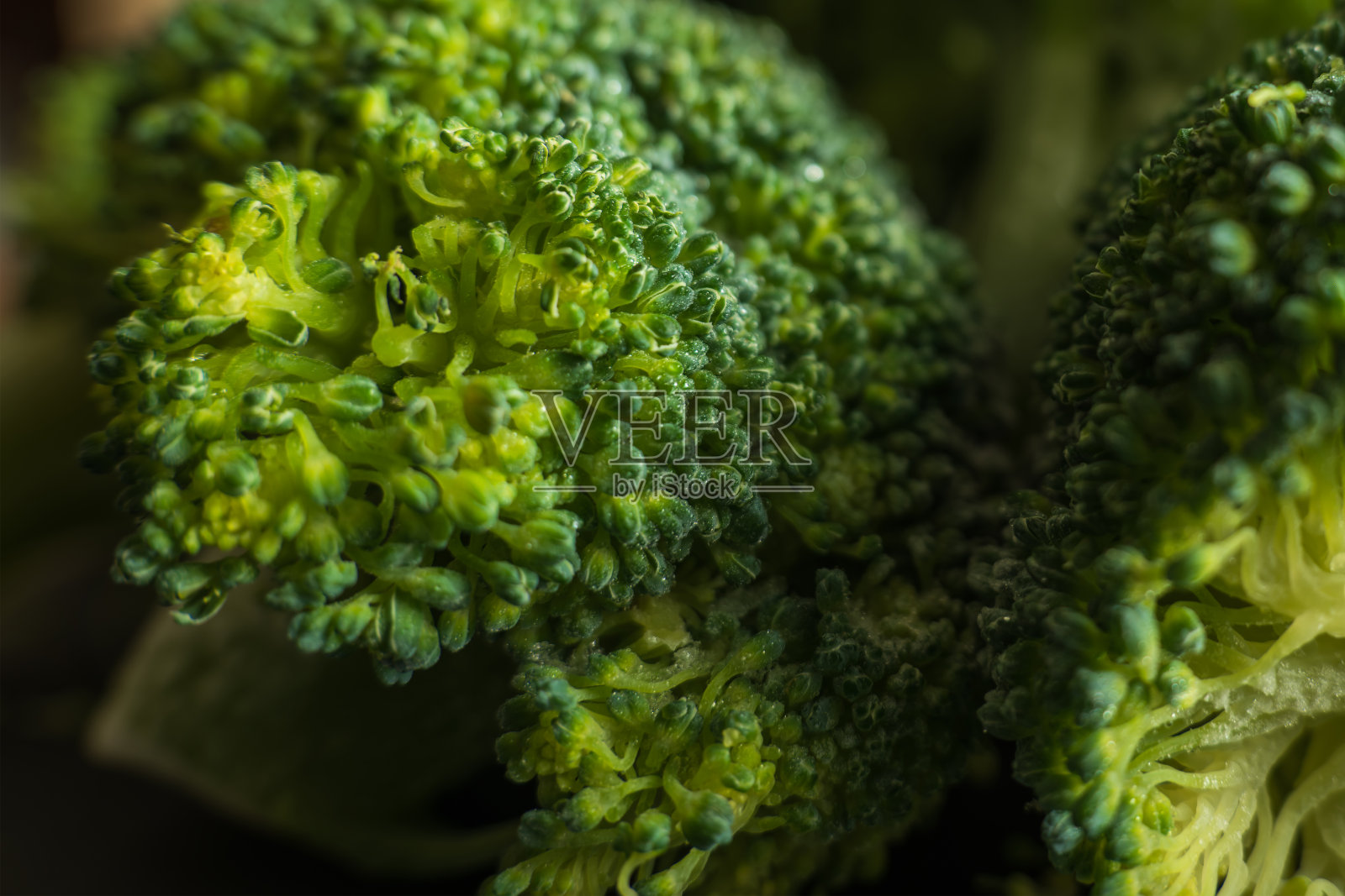 冰冻的绿色花椰菜小花在黑暗的背景特写照片摄影图片