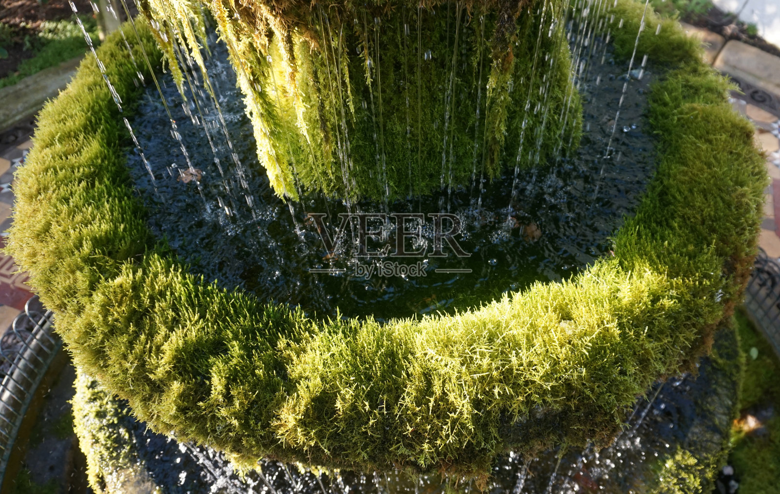 长满苔藓的喷泉照片摄影图片