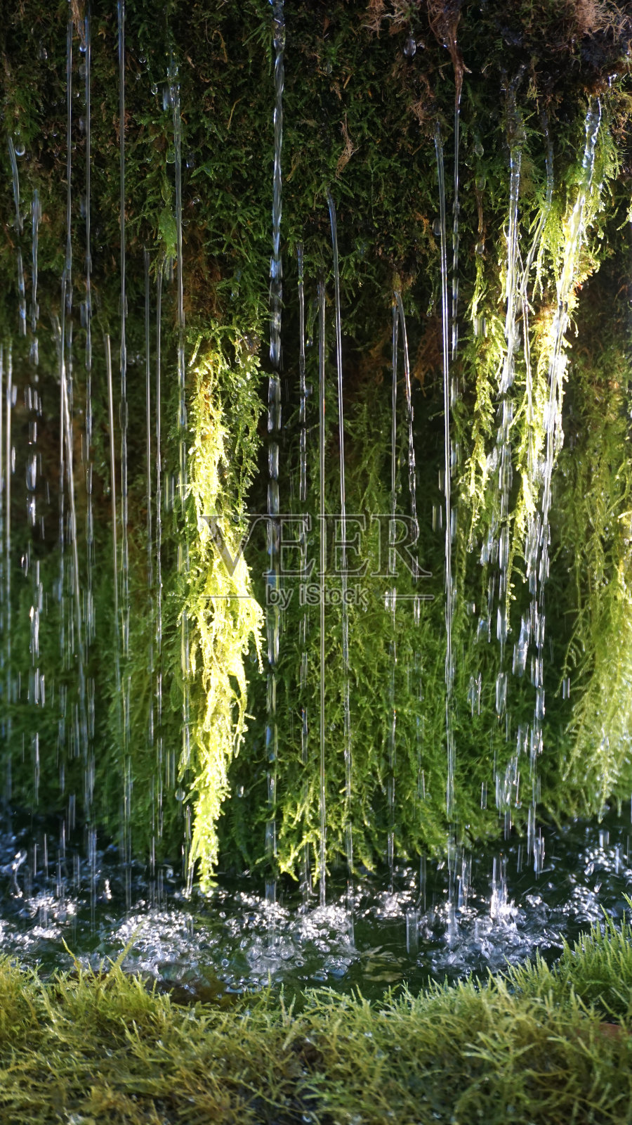 长满苔藓的喷泉照片摄影图片