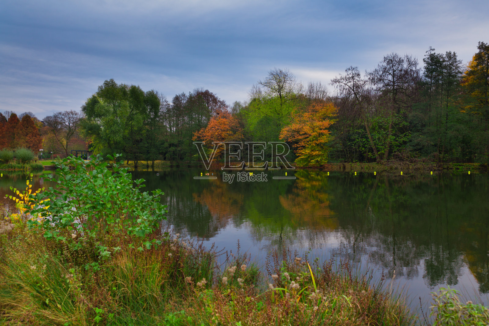 秋天在公园照片摄影图片