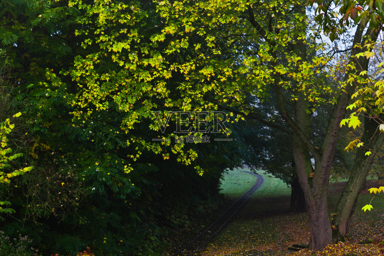 秋天在公园照片摄影图片