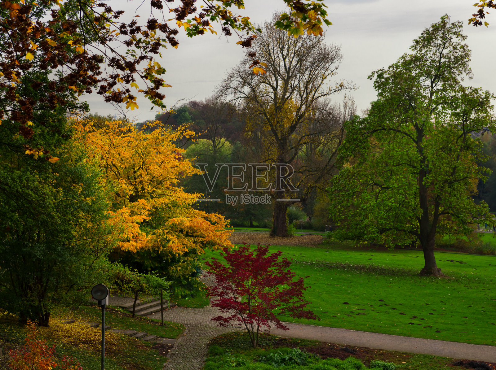 秋天在公园照片摄影图片