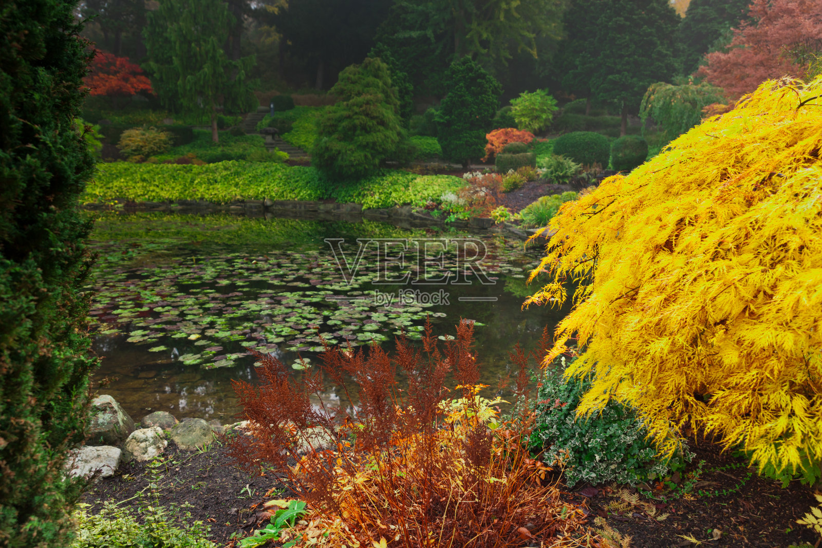 秋天在公园照片摄影图片