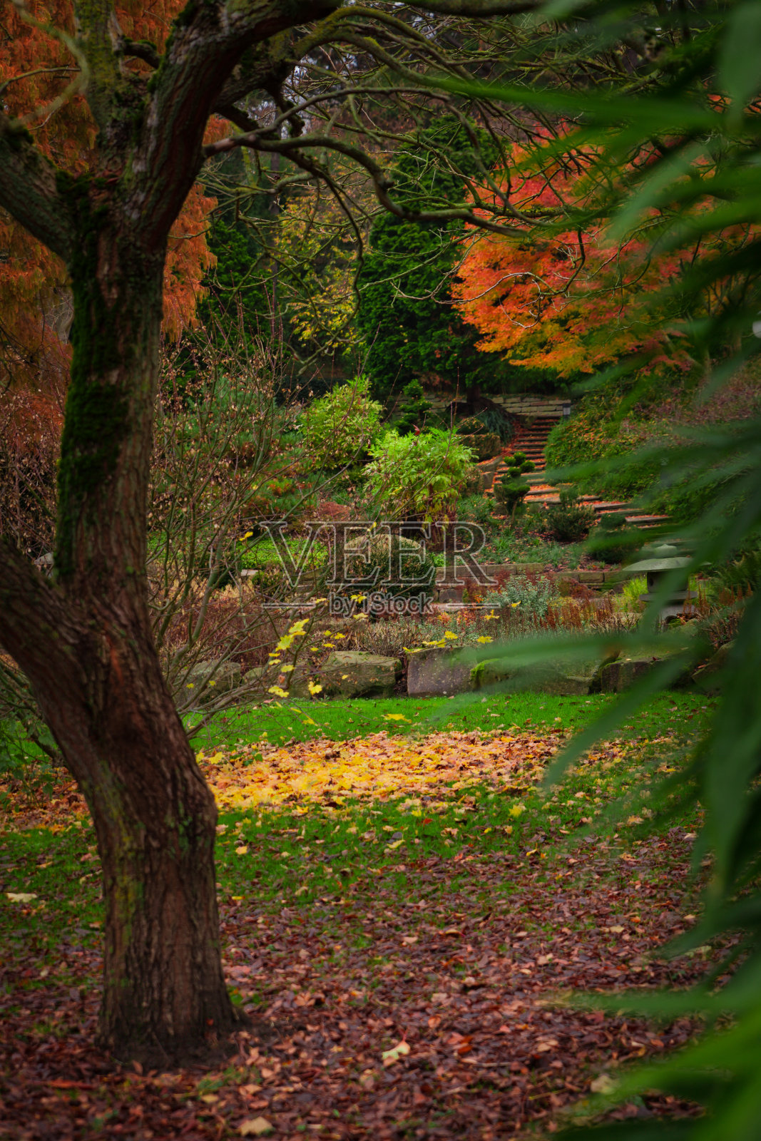 秋天在公园照片摄影图片