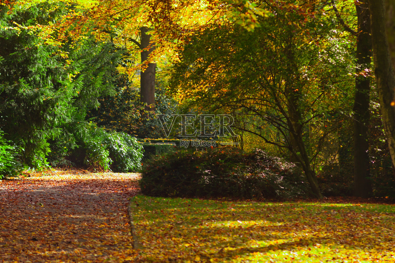 秋天在公园照片摄影图片