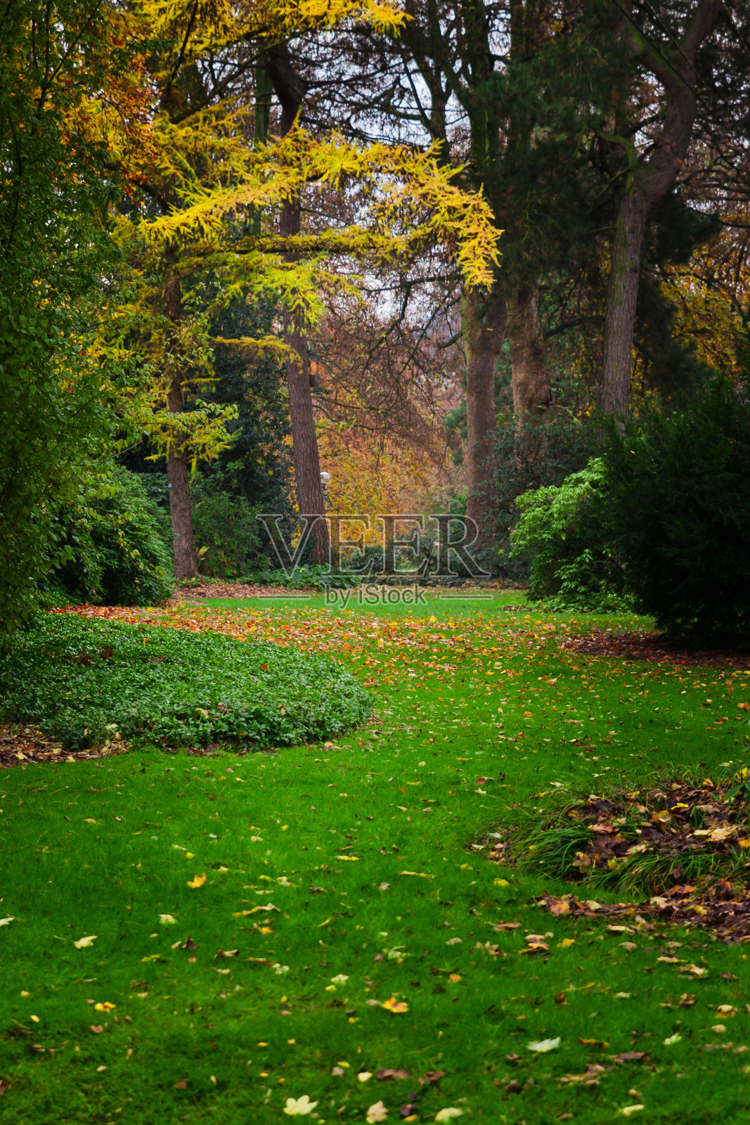 秋天在公园照片摄影图片